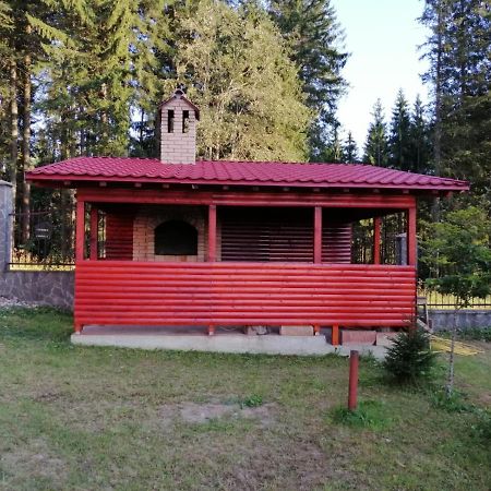 Casa De Vacanta プルウル・レチェ エクステリア 写真
