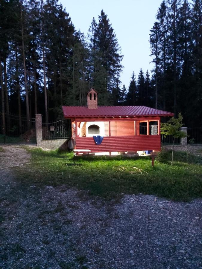 Casa De Vacanta プルウル・レチェ エクステリア 写真