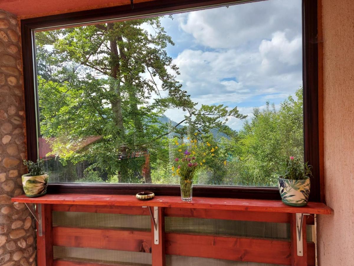 Casa De Vacanta プルウル・レチェ エクステリア 写真